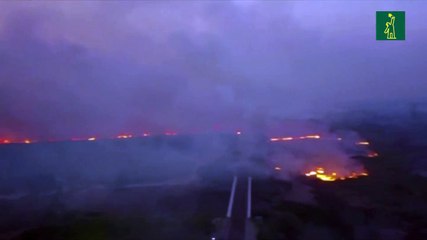 Incendios de proporciones nunca vistas devoran parte del Pantanal brasileño