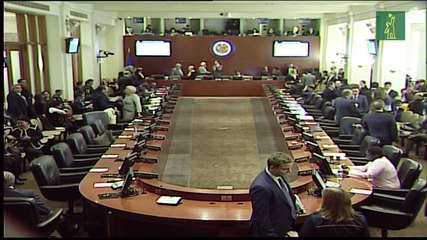 Mayoría de países OEA piden nuevas elecciones lo antes posible en Bolivia