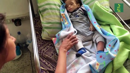 Día Mundial de la Alimentación