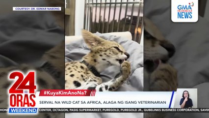 24 Oras Weekend: (Part 2) PH-France maritime cooperation; Disgrasya sa Cebu at Bulacan; Chinop-chop na bangkay; atbp.