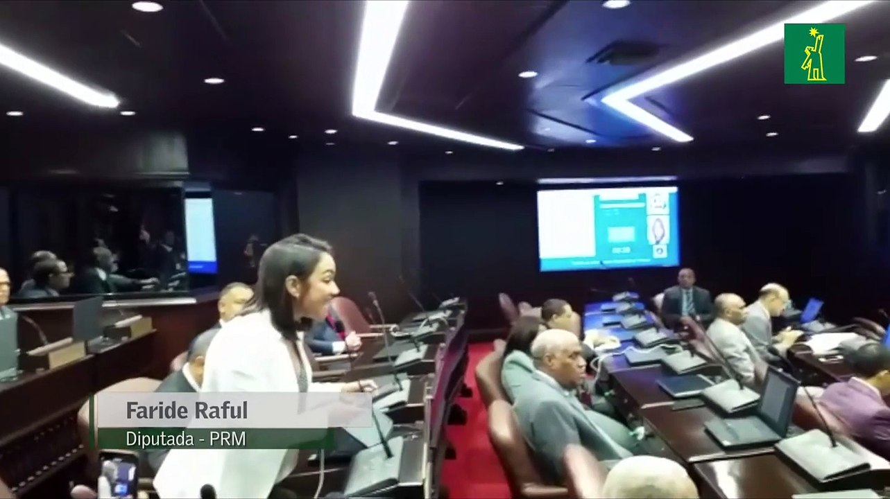 Faride Raful Dice Que El Gobierno De Danilo Roba