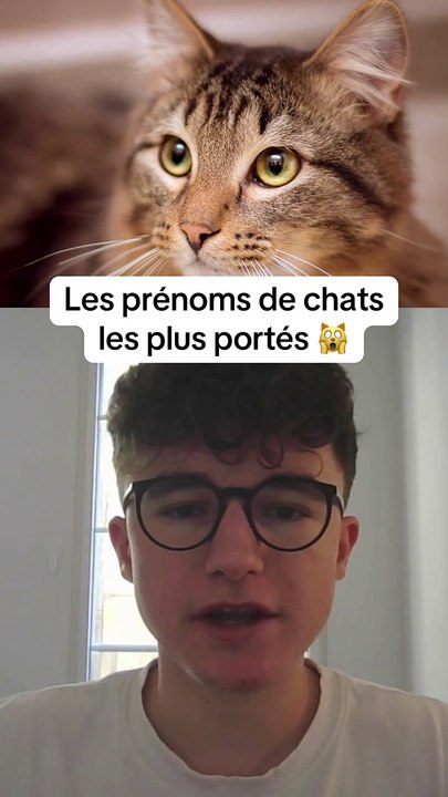 Les prénoms de chats les plus portés 🙀 #prenom #prénom #chat #chats