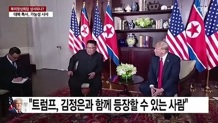 트럼프 대북 특사 북미정상회담 시사?..."정권 교체 시도 안 해" / YTN