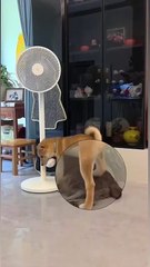 What is that? Can't see anything at all😀