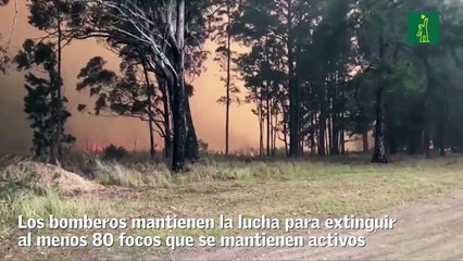 Australia se quema, más de 13.000 kilómetros de superficie están afectados