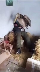 You have a good time discovering funny news