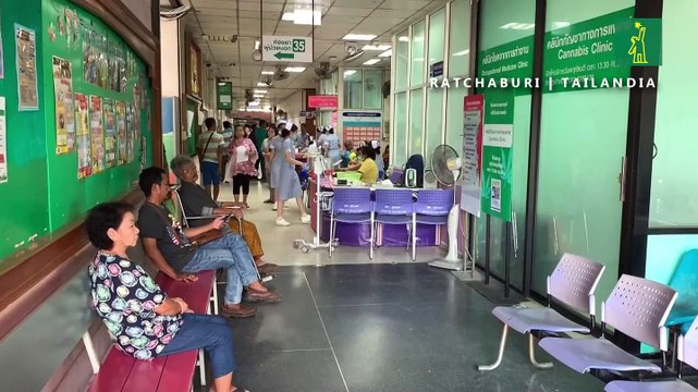 La marihuana medicinal en Tailandia: ¿puede curar el cáncer?