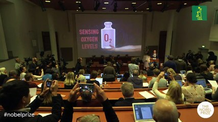 Nobel para tres médicos que estudian las células y su necesidad de oxígeno