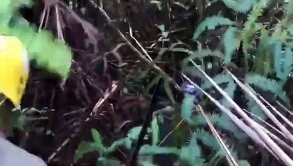 Así se rescató al parapentista que estuvo desaparecido por 24 horas