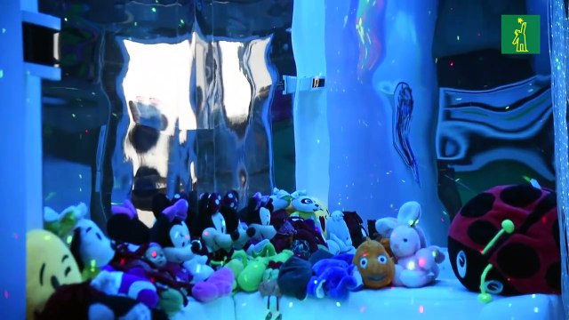 Recomendaciones del Instituto Neurología Pediátrica Dra. Dayana González