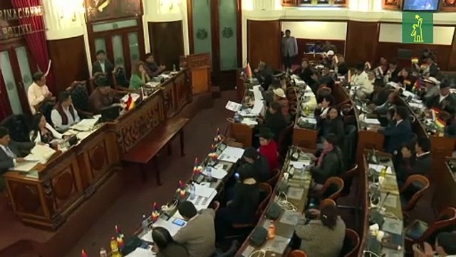 Bolivia promulga ley para celebrar nuevas elecciones sin Evo Morales