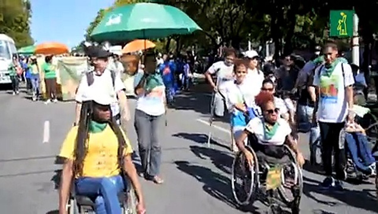 La Marcha de las Mariposas