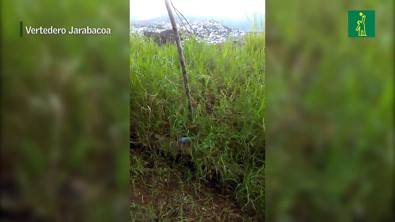 Incendio en vertedero de Jarabacoa