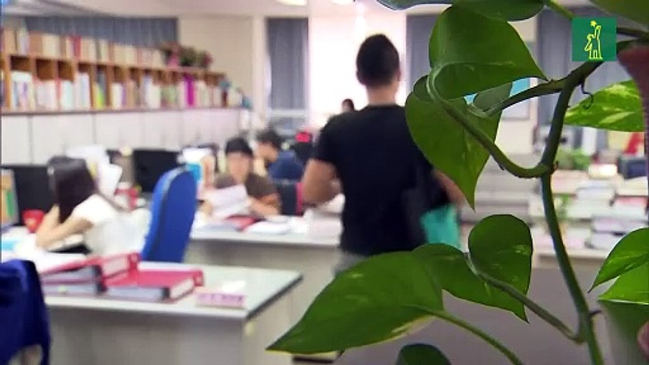 China aprueba promover inversión taiwanesa a 2 semanas de comicios en la isla