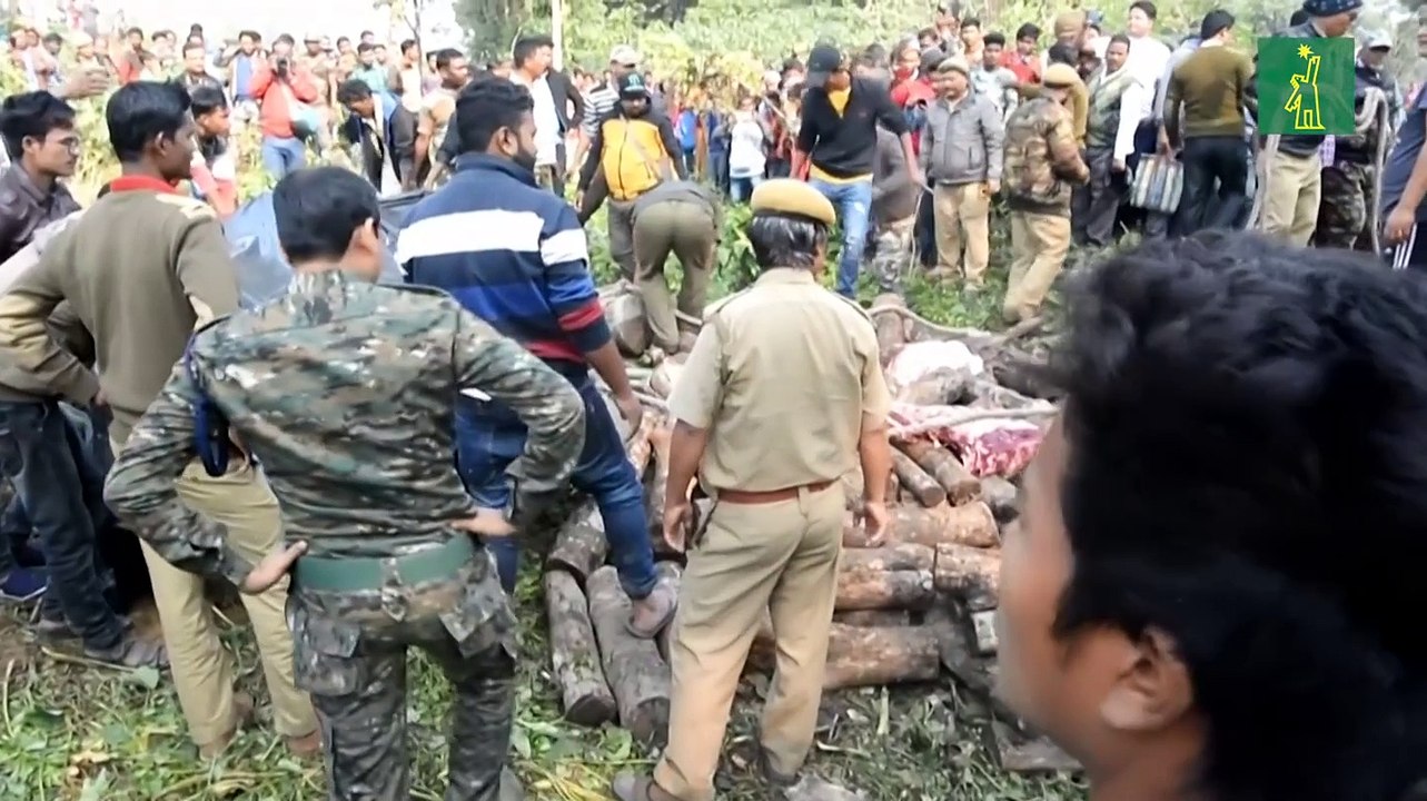 Dos elefantes mueren atropellados por un tren en India