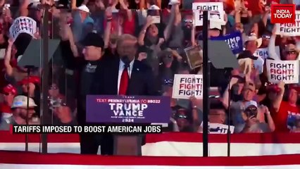 30 days of Trump 2.0: Crackdown on illegal immigration and trade war policies