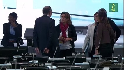 La regulación del mercado de carbono se pospone pese a los avances en COP25