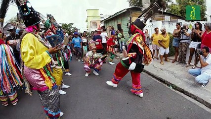 Guloyas en cámara lenta
