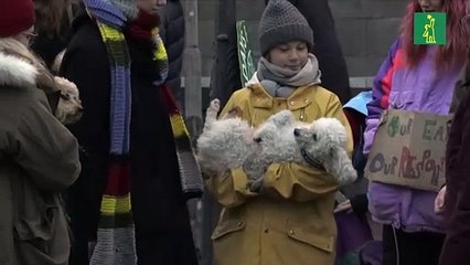 Greta Thunberg vuelve al parlamento sueco después de su viaje a Estados Unidos