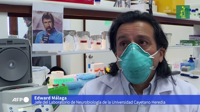 Científicos peruanos buscan producir en masa un test rápido de COVID-19