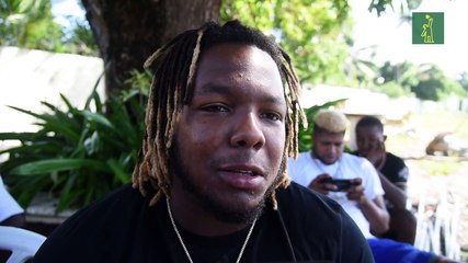 Vladimir Guerrero Jr