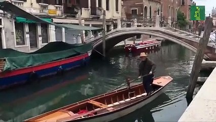 Los turistas asoman en Venecia como aves raras