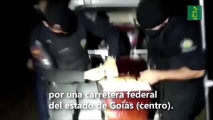 Ataúdes con droga: narcotráfico en medio de la pandemia