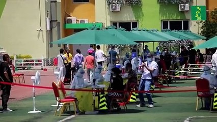Pekín aumenta los test hasta un millón al día mientras bajan los nuevos casos