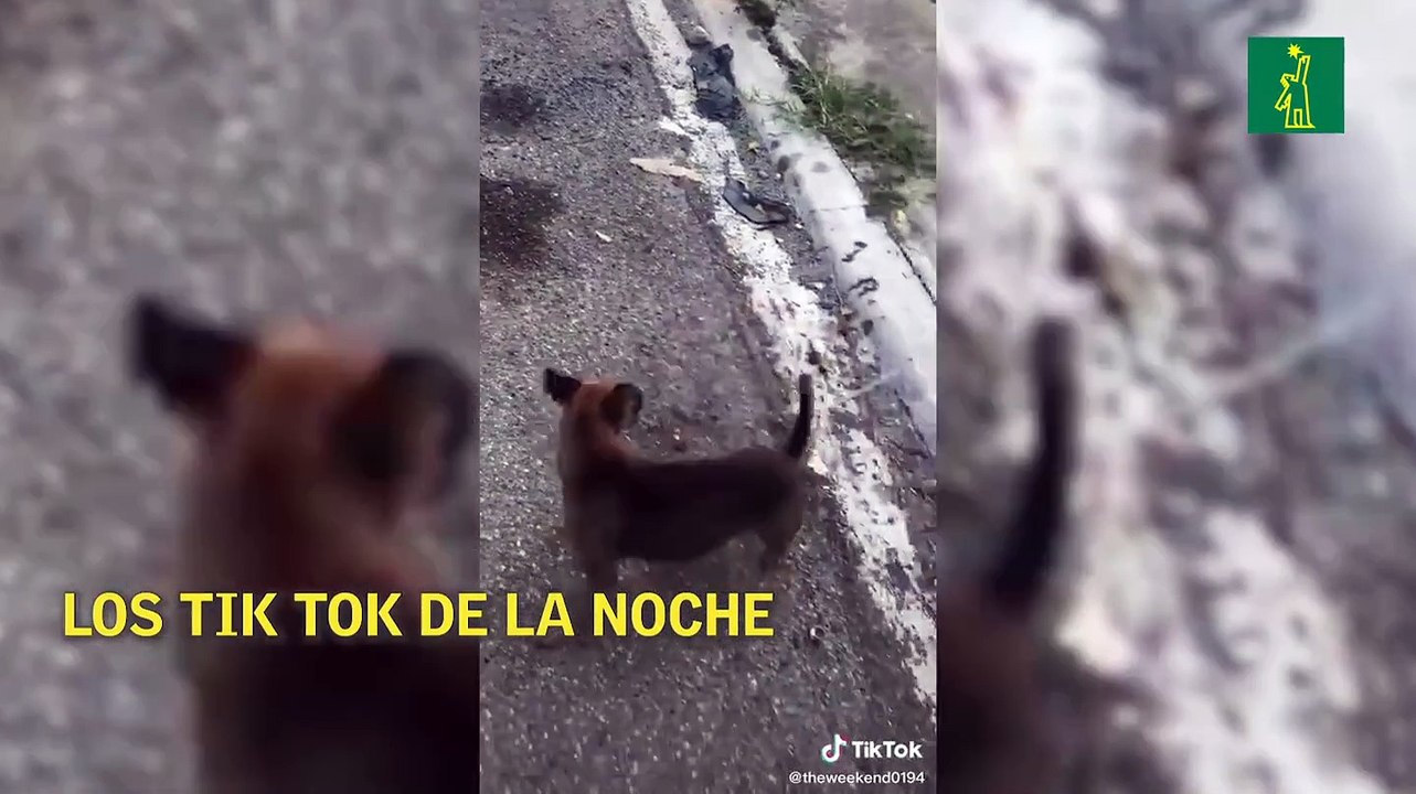 Los Tik Tok de la noche