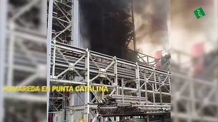 Humareda en Punta Catalina, CDEEE anuncia Unidad 2 estará fuera por tres o cuatro días