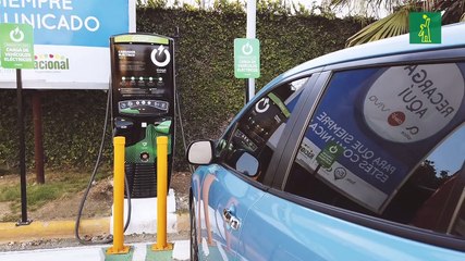 La Eco-Ruta: Nadando con Remi, la manatí de Bayahíbe