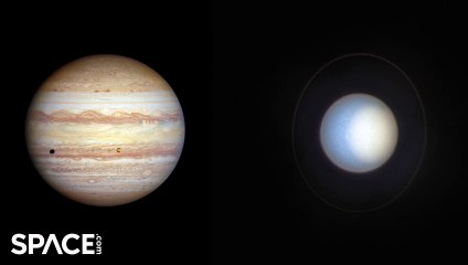 4K Hubble Captured Stunning Views Of Jupiter And Uranus