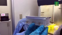 Laboratorio Nacional: El recorrido de las muestras de PCR
