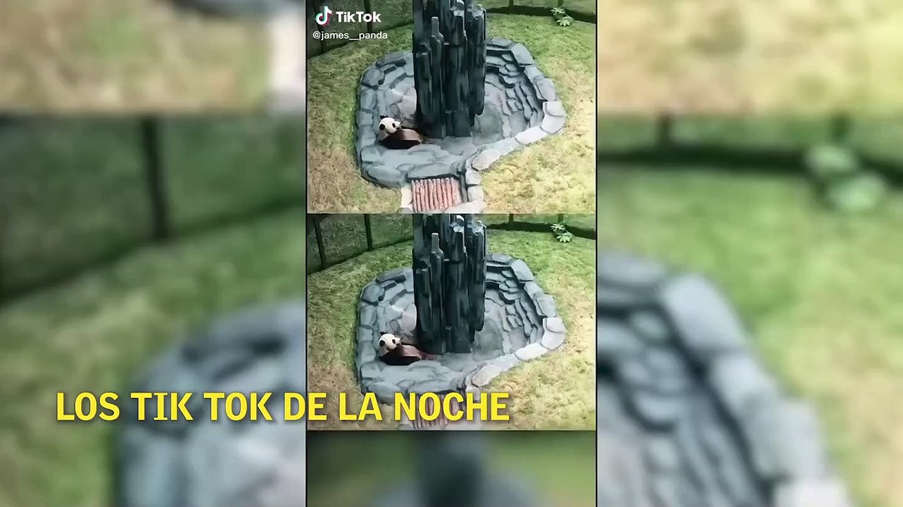 Los Tik Tok de la noche