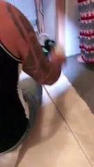 Family's thrilling mouse hunt turns into a comical game of catch and escape