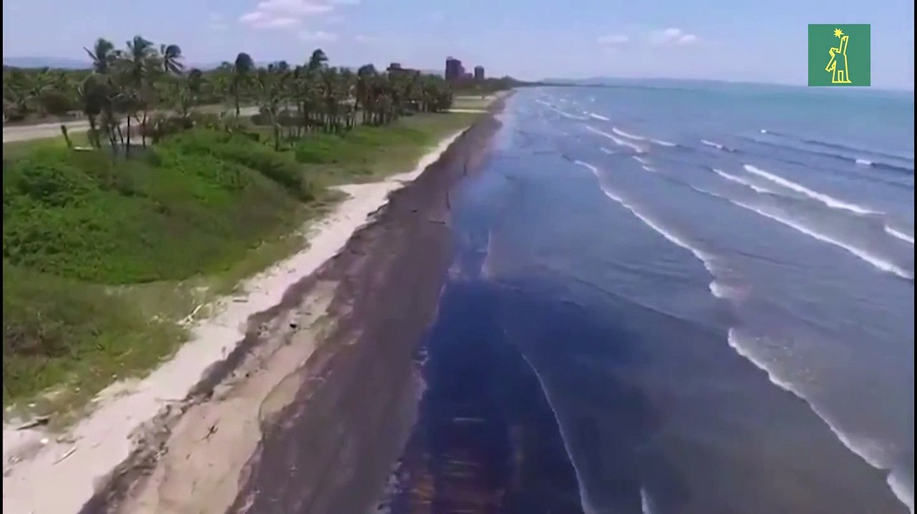 Derrame de hidrocarburos afecta emblemática reserva marina de Venezuela