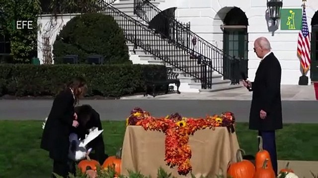 Biden indulta a dos pavos por Acción de Gracias y bromea sobre las elecciones