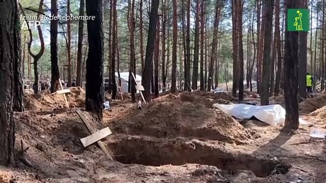 Investigadores de la ONU afirman que se cometieron crímenes de guerra en Ucrania