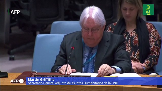 La ONU rechaza que barco de granos estuvo involucrado en el ataque del Mar Negro