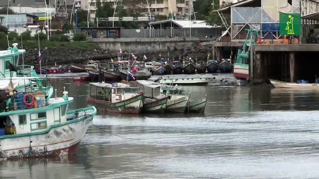 Panamá congrega a 183 países y propone reforzar la protección de especies amenazadas