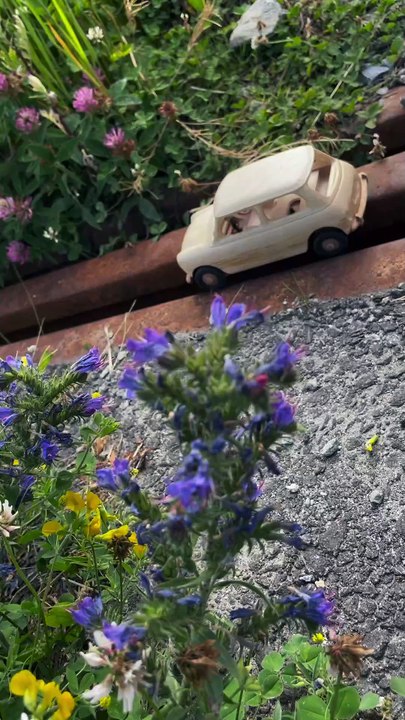 mini accident