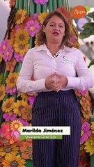 Diferencias entre Autismo y síndrome de Down