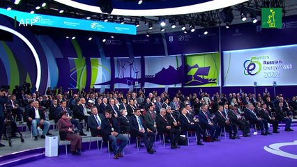 Putin dice que fugas del Nord Stream son actos de "terrorismo internacional"