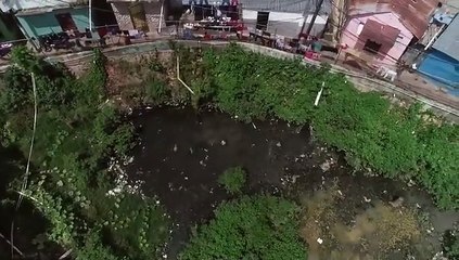 Los Platanitos Ahogado En El Paraíso - - Mira El Vídeo Completo Y Amplía Los Detalles De Esta Información Aquí