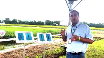 Confira a íntegra do programa SC Agricultura deste sábado (22)!