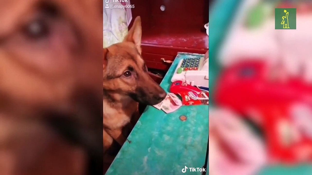 Tik Tok de la noche