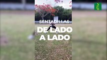 Ejercicio de sentadillas de lado a lado