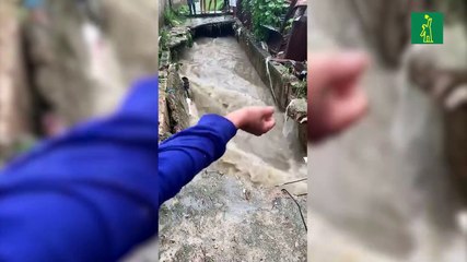 Cañada en Brisas de las Palmeras, Sabana Perdida