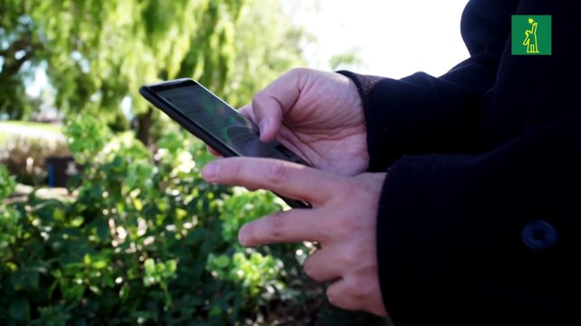 Facebook y Twitter castigan cuentas de Trump por violar reglas de desinformación