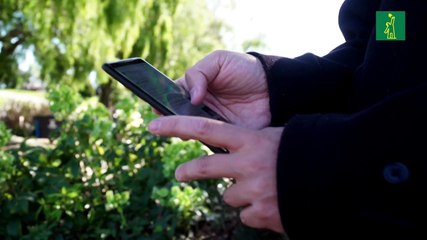 Facebook y Twitter castigan cuentas de Trump por violar reglas de desinformación